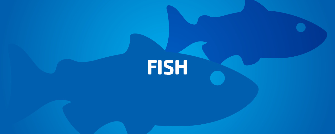 Fish Graphic
