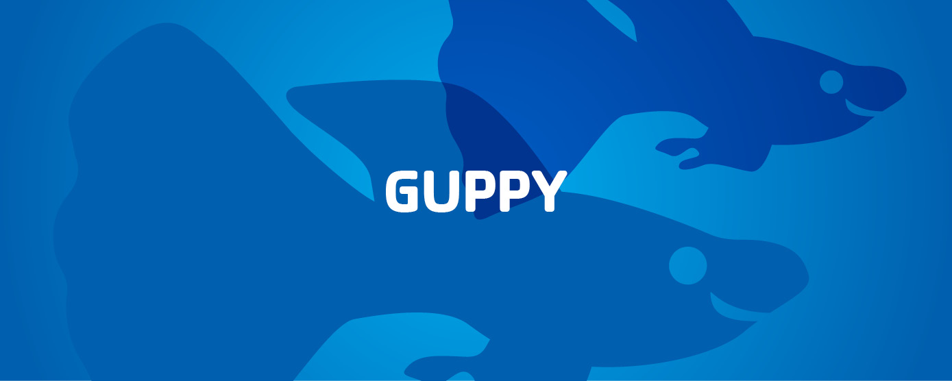 Guppy Graphic