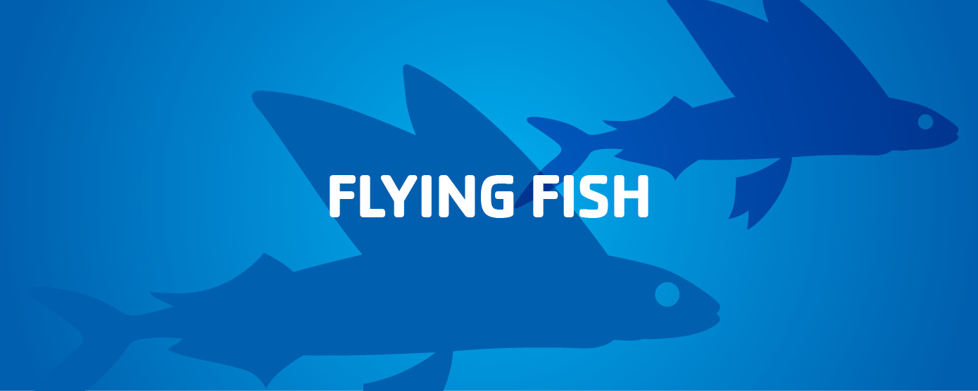 Flying fish swim level