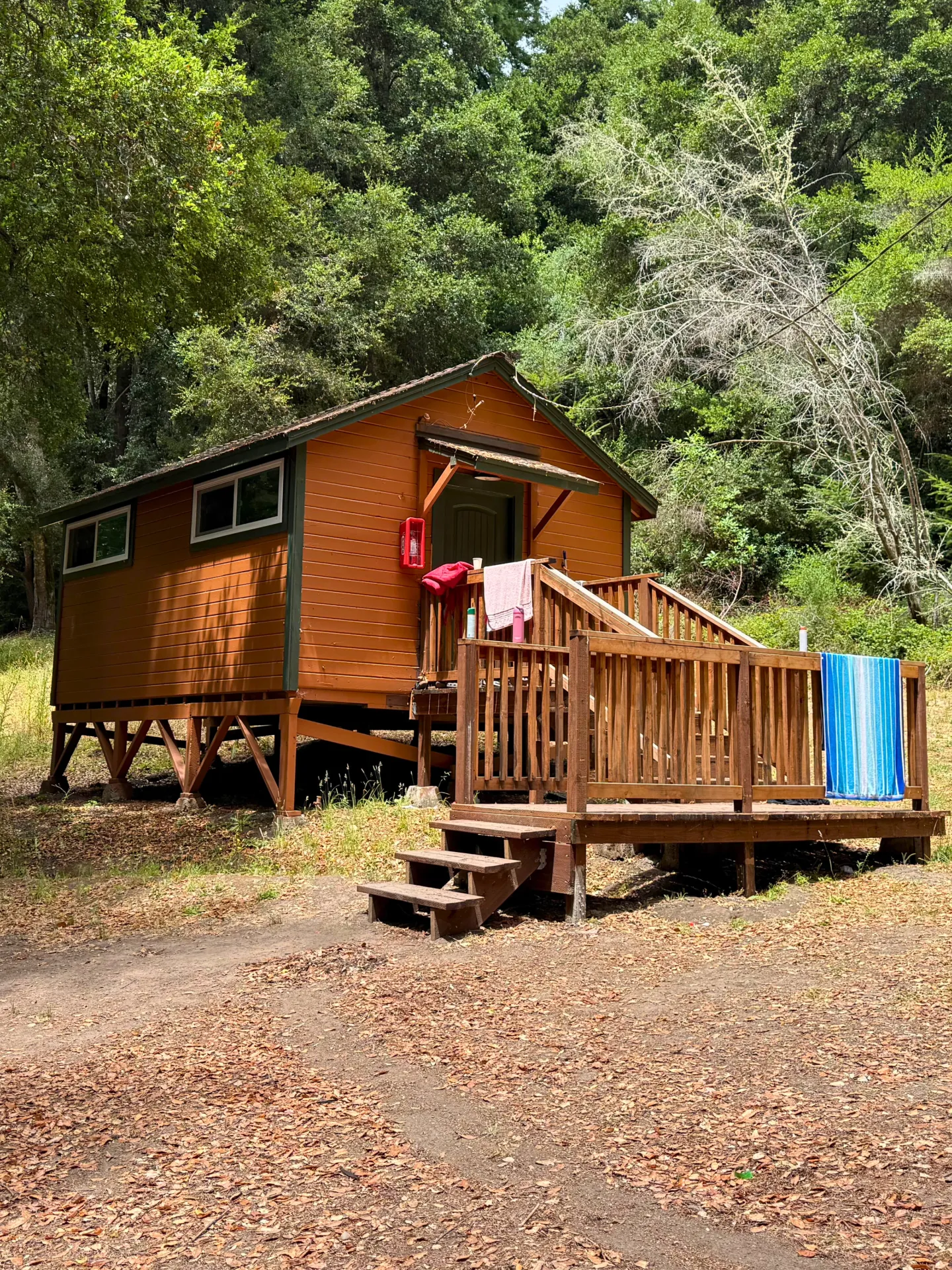 A red Camp Loma Mar cabin sits among redwood trees and tall bushes, a few towels hang on the banisters.
