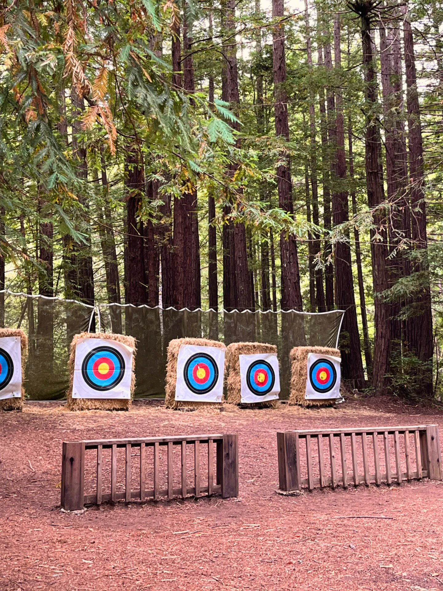 The Camp Loma Mar archery range sits in a dense grove of redwood trees, the targets are multicolored and sit across a small field from fences where archers could stand to shoot their bows.