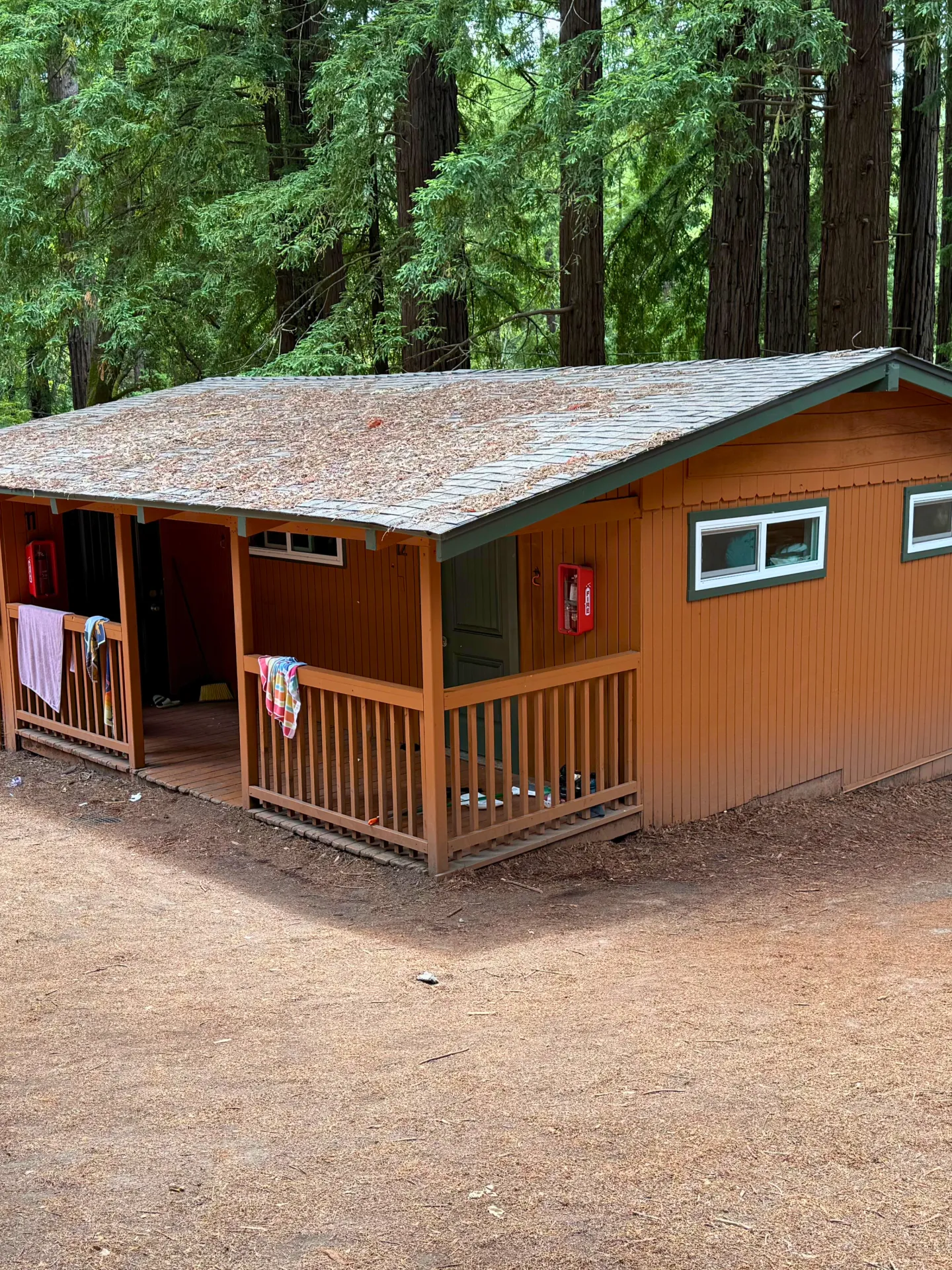 A red Camp Loma Mar cabin for campers sits among tall redwood trees, two beach towels hang from the banisters.