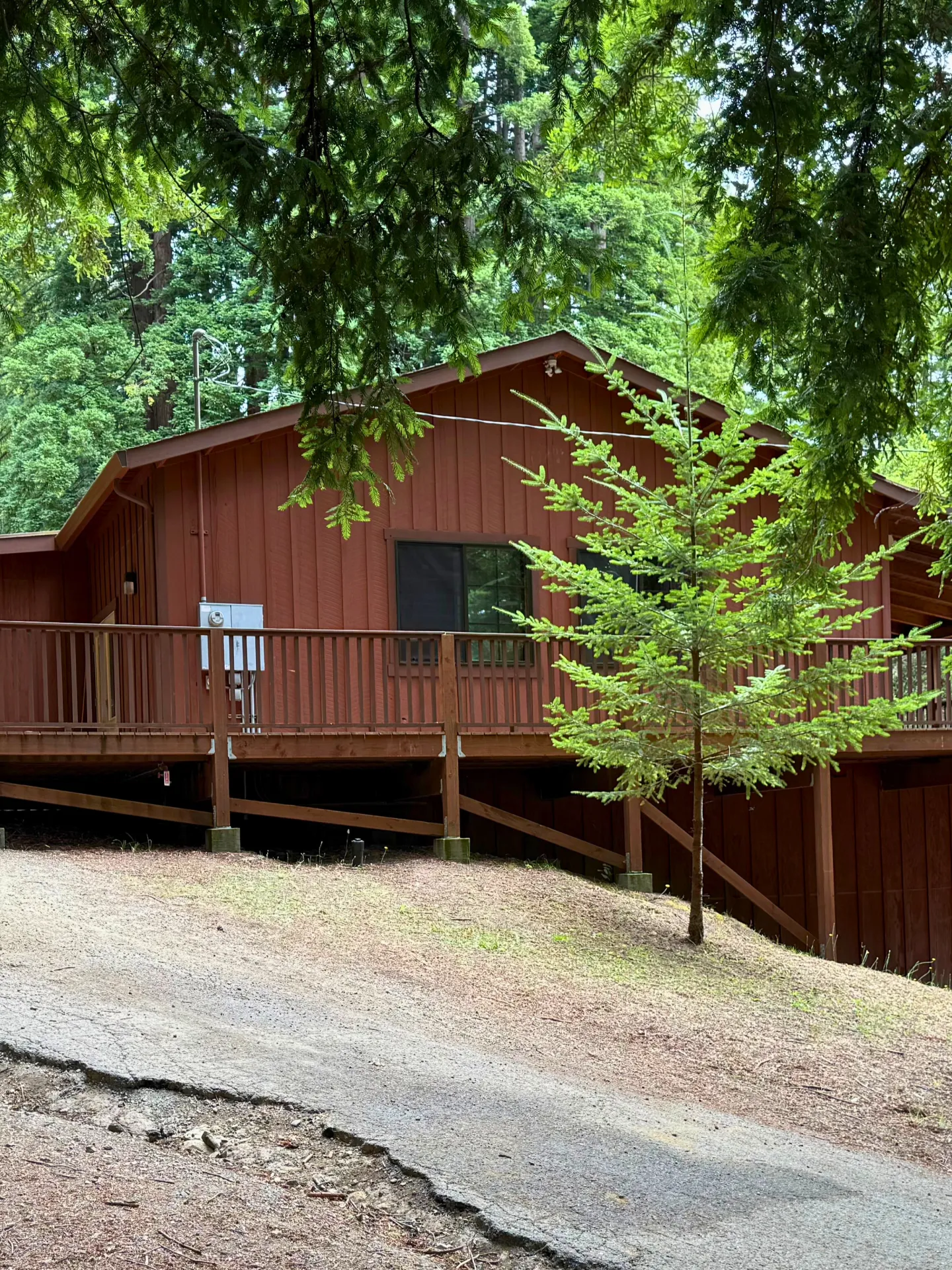 The old Camp Loma Mar lodge sits in the woods up a short hill, a small tree covers part of the front of the lodge.