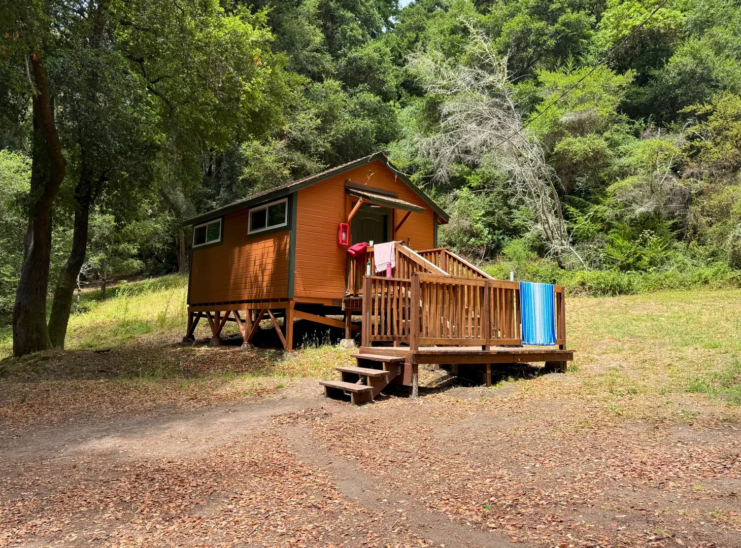 A red Camp Loma Mar cabin sits among redwood trees and tall bushes, a few towels hang on the banisters.